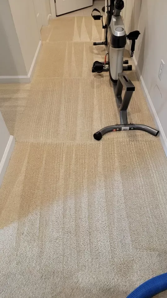 carpet-cleaning-service-chesterfield-va