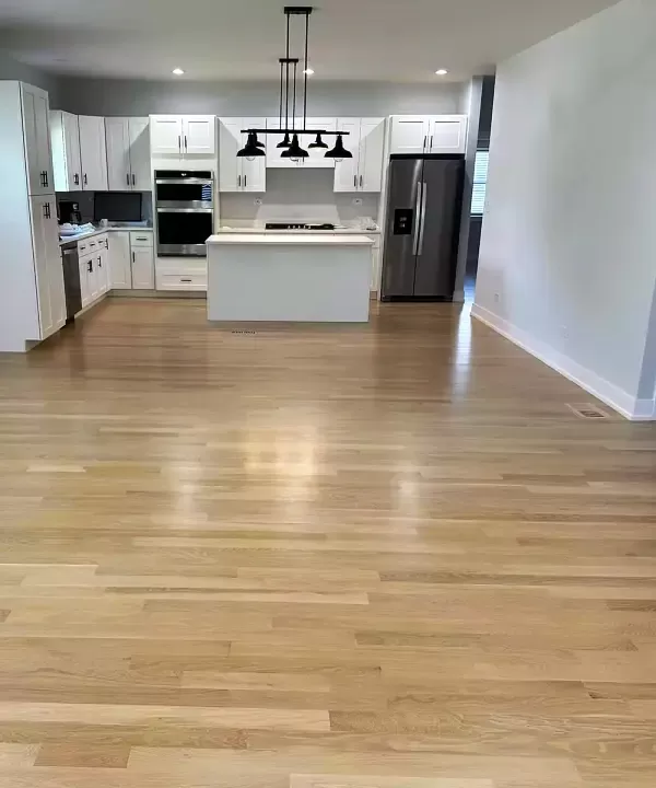 carpet cleaning professional chesterfield va